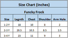 Jhilmil White Fairy Frill Frock