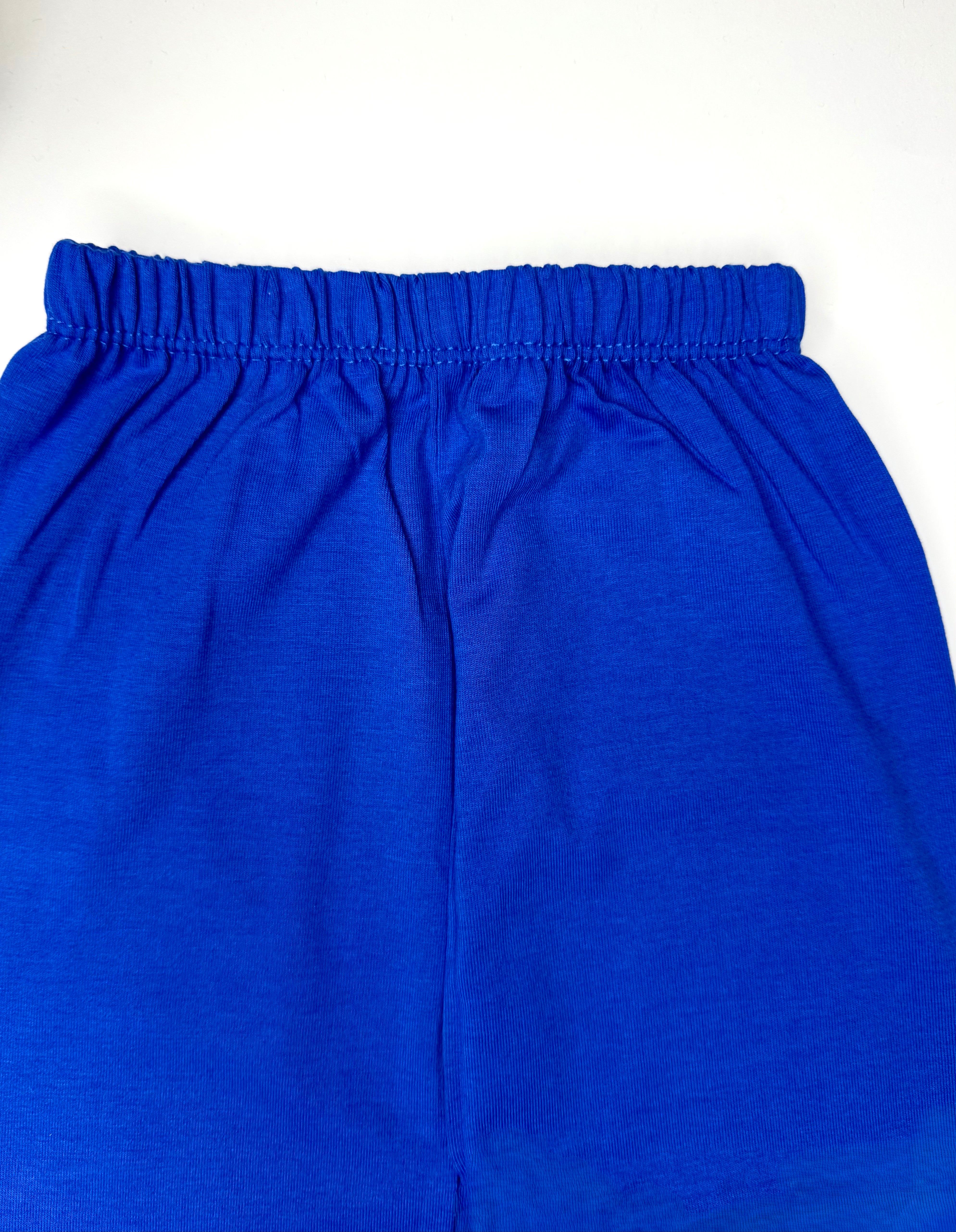 Royal Blue Tights